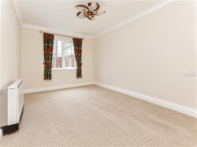 Picture 8